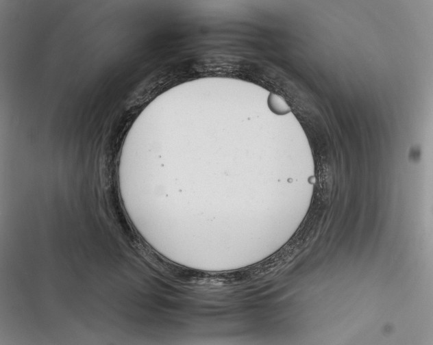 X0000116660751201001111250
