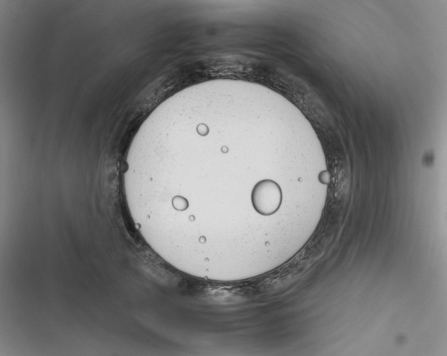 X0000116660753201001111250
