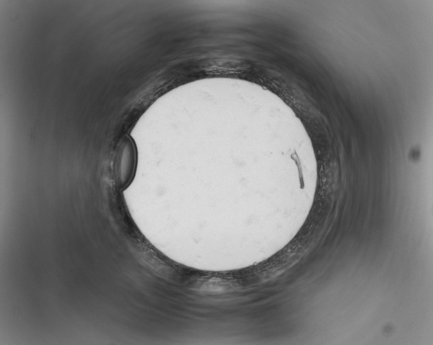 X0000116660755201001111250