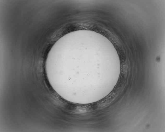 X0000116660757201001111250