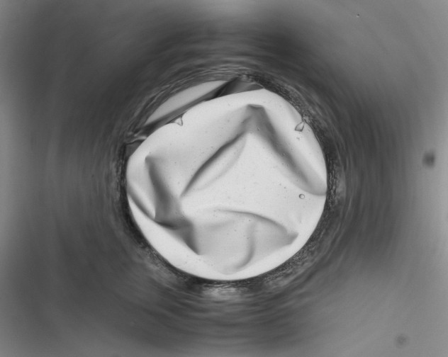 X0000116660759201001111250