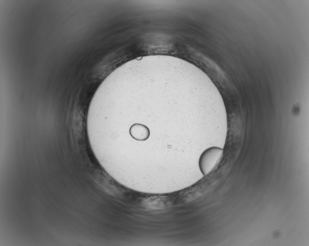 X0000116660761201001111250