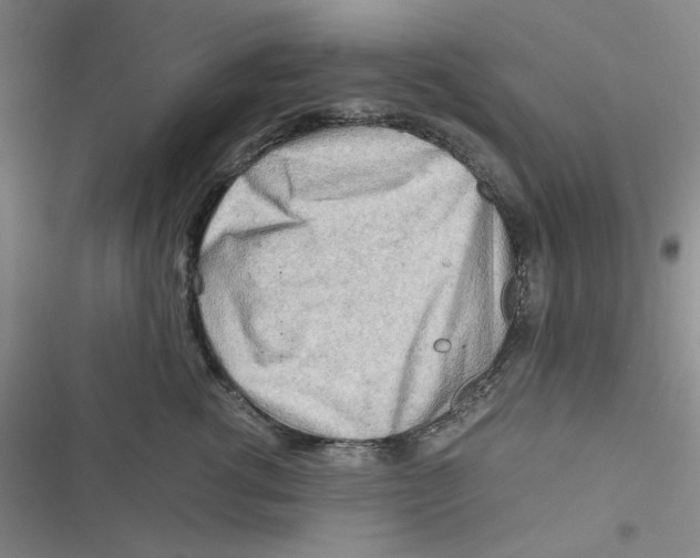 X0000116660762201001111250