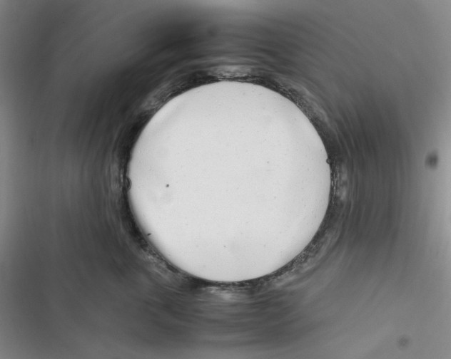 X0000116660763201001111250