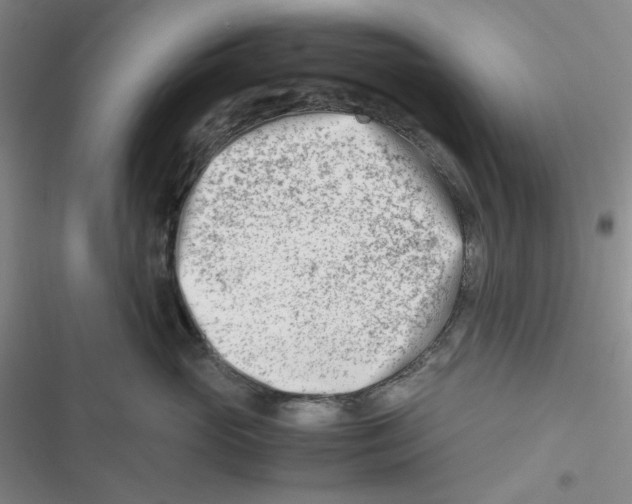X0000116660765201001111250