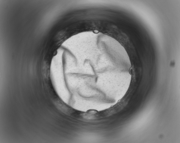 X0000116660766201001111250