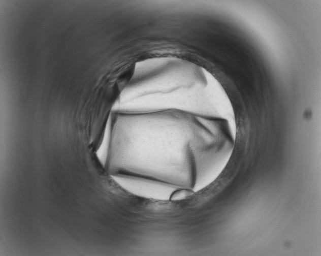 X0000116660767201001111250