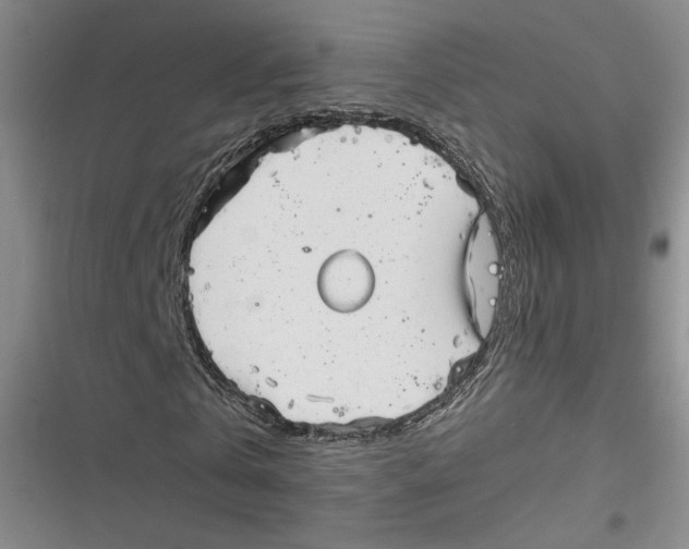 X0000116660769201001111249