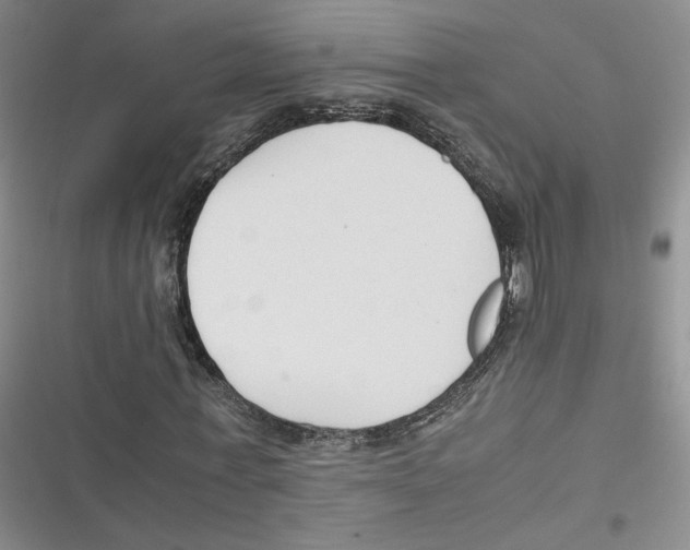 X0000116660771201001111249