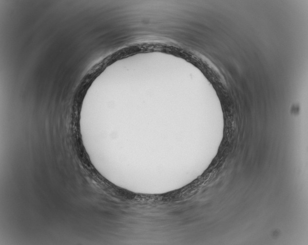 X0000116660775201001111249