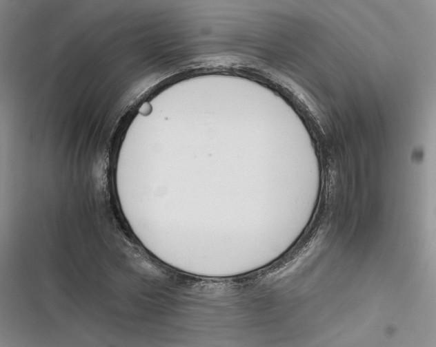 X0000116660778201001111249