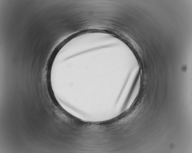 X0000116660779201001111249