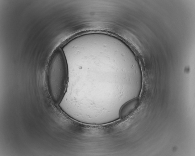 X0000116660781201001111249