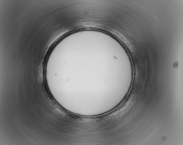 X0000116660782201001111249