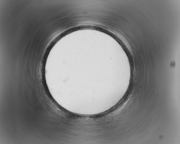 X0000116660783201001111249