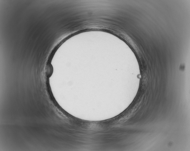 X0000116660787201001111249