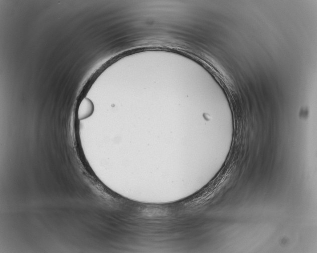 X0000116660788201001111249