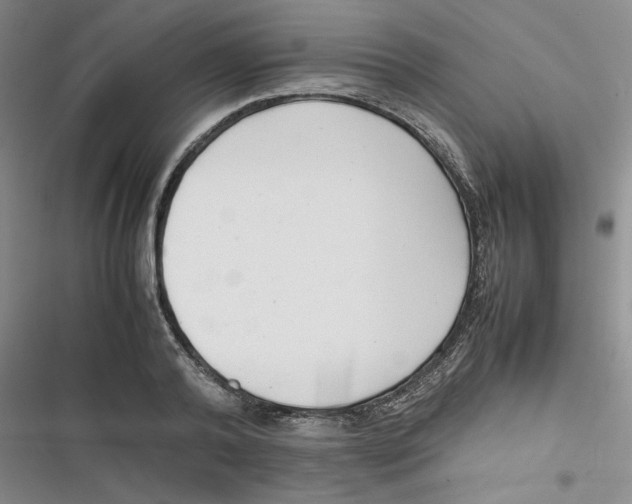 X0000116660792201001111249