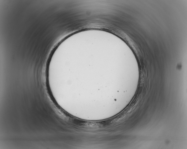 X0000116660795201001111249