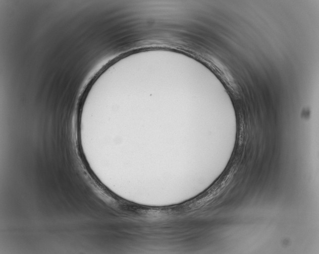 X0000116660796201001111249