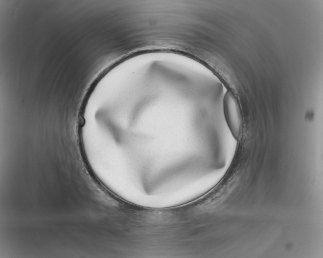 X0000116660797201001111249