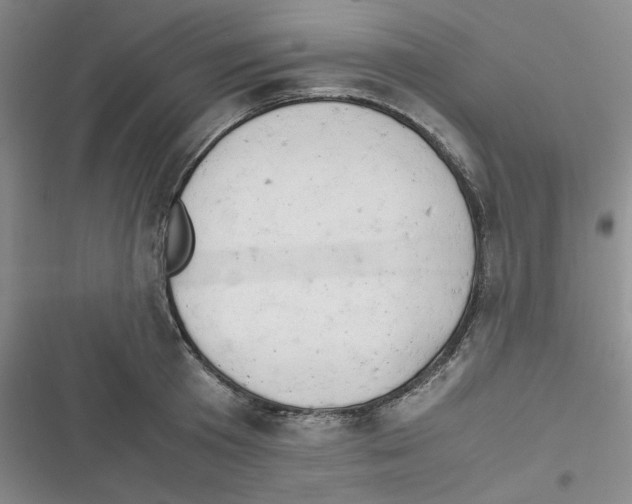 X0000116660801201001111249