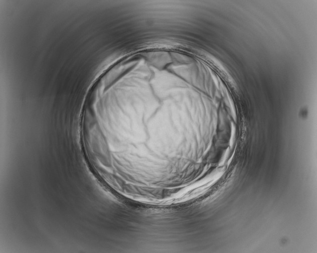 X0000116660802201001111249