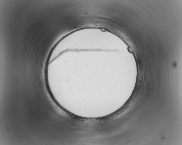 X0000116660803201001111249