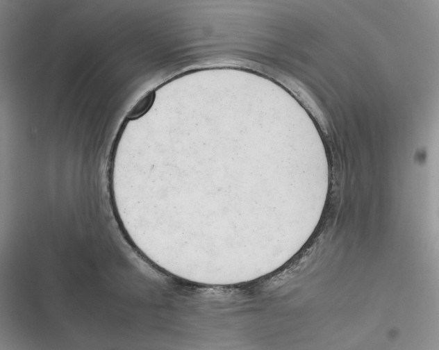 X0000116660805201001111249