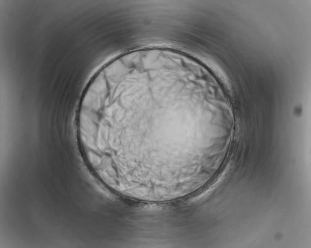 X0000116660806201001111249
