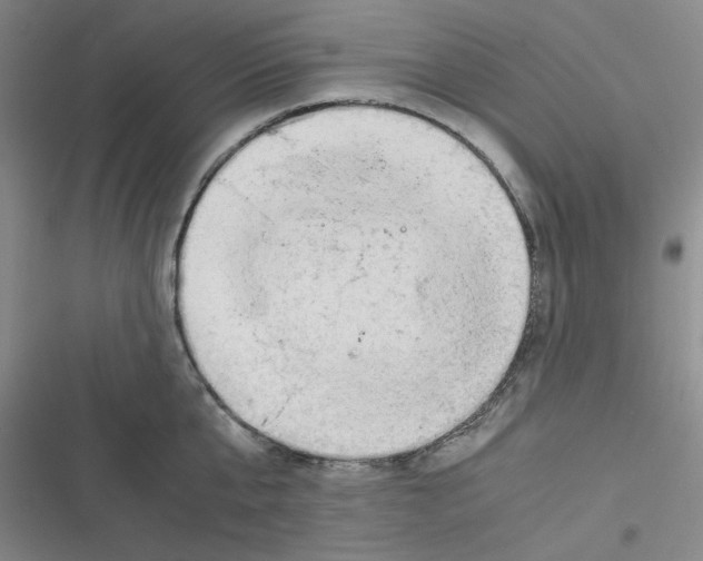 X0000116660807201001111249