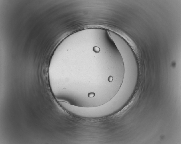 X0000116660809201001111249