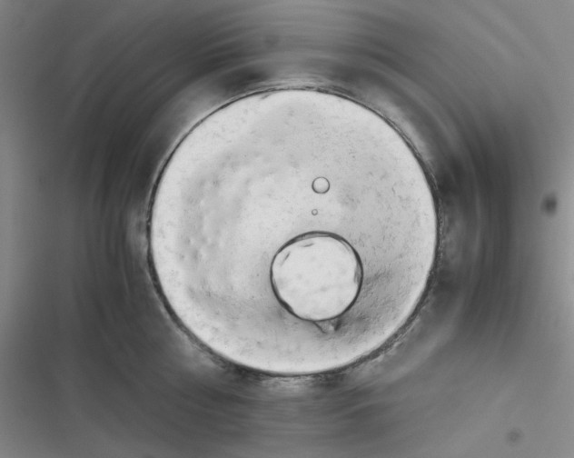 X0000116660810201001111249