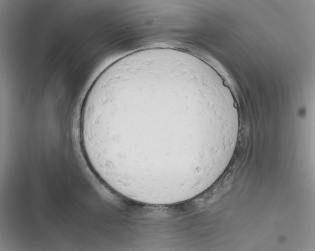 X0000116660811201001111249