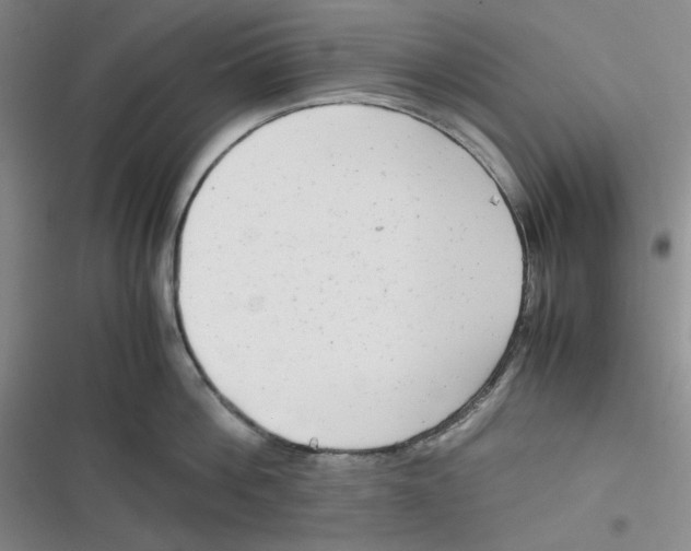 X0000116660812201001111248