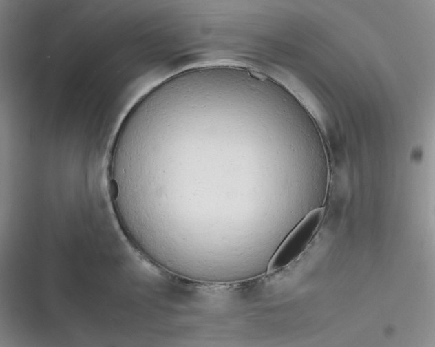 X0000116660813201001111248