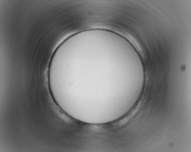 X0000116660814201001111248