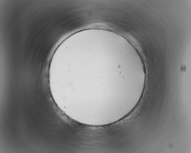 X0000116660816201001111248