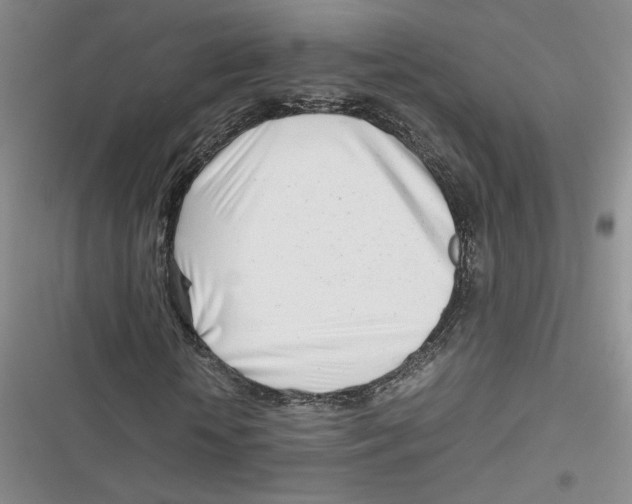 X0000116660818201001111248