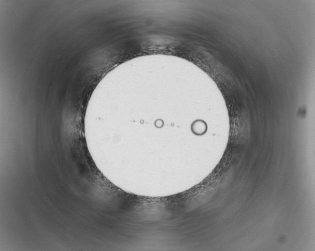 X0000116660820201001111248