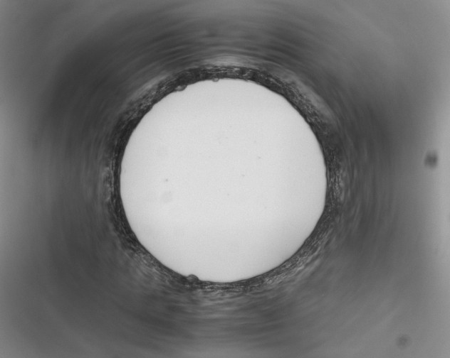 X0000116660821201001111248