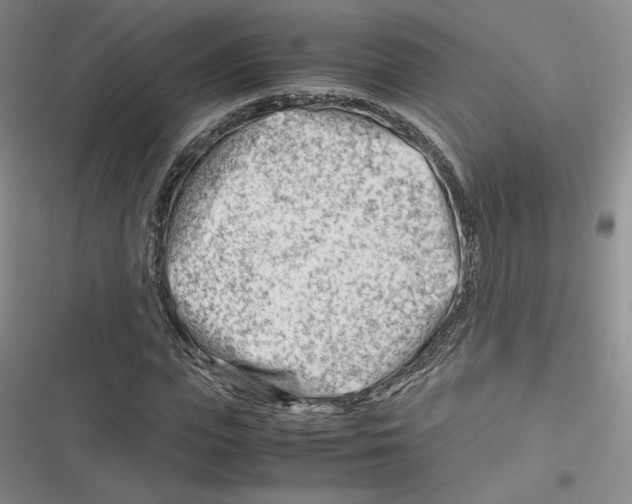 X0000116660823201001111248