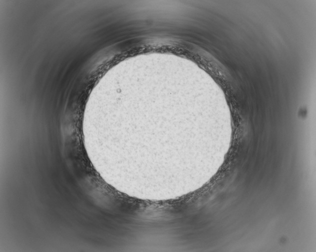 X0000116660824201001111248