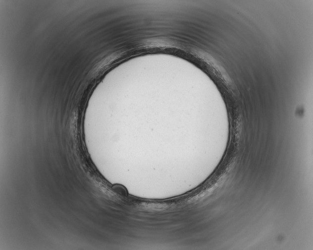 X0000116660825201001111248