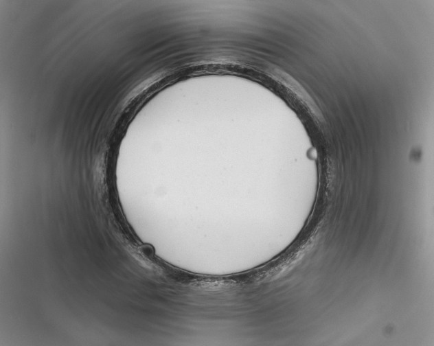 X0000116660826201001111248
