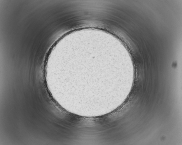 X0000116660828201001111248