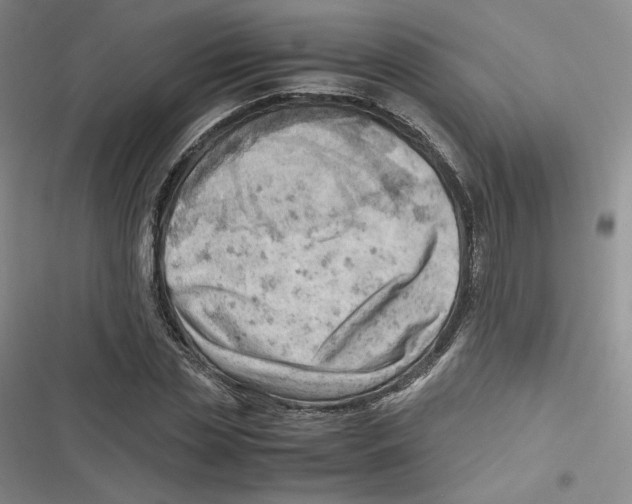 X0000116660829201001111248