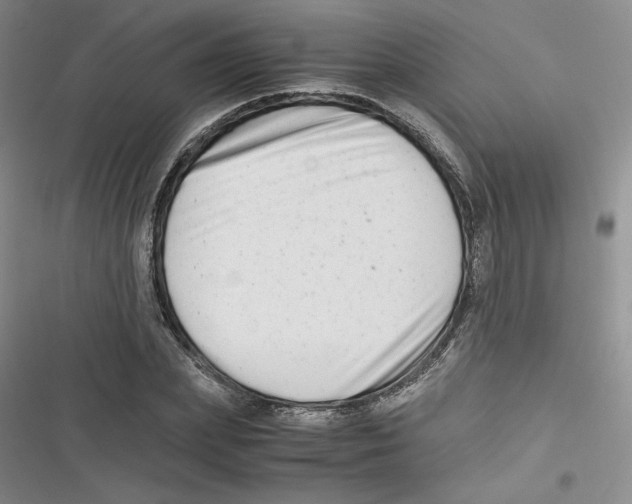 X0000116660831201001111248