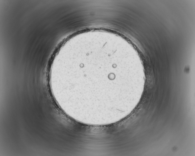 X0000116660832201001111248