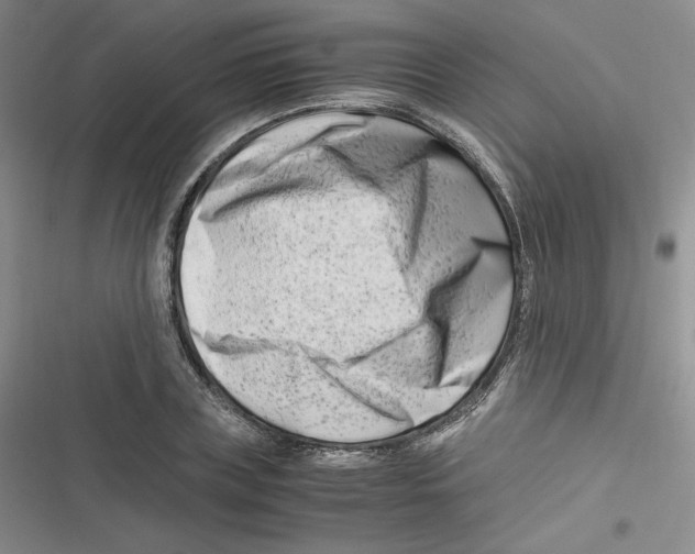 X0000116660835201001111248